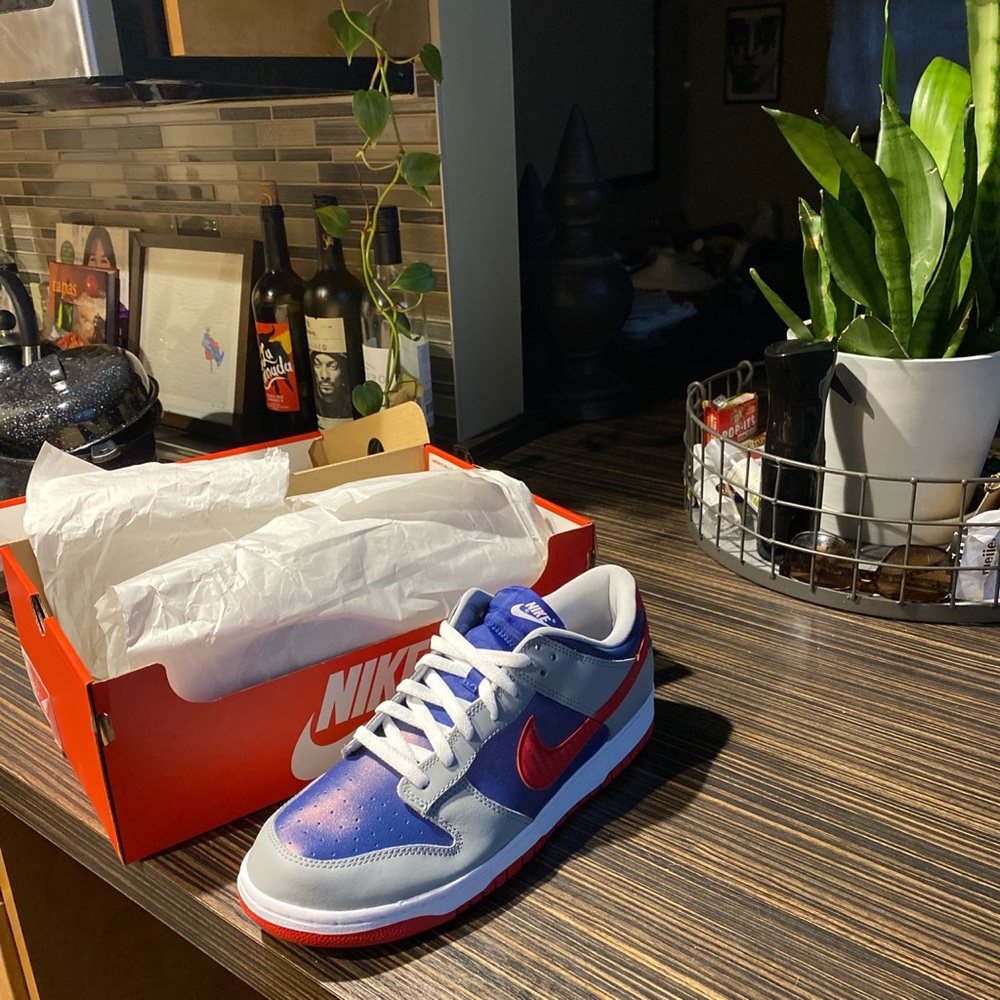 Nike dunk sp samba sz 12